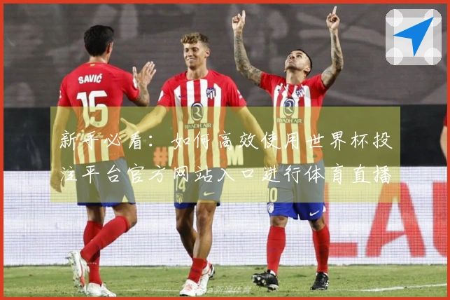 新手必看：如何高效使用世界杯投注平台官方网站入口进行体育直播观看指南
