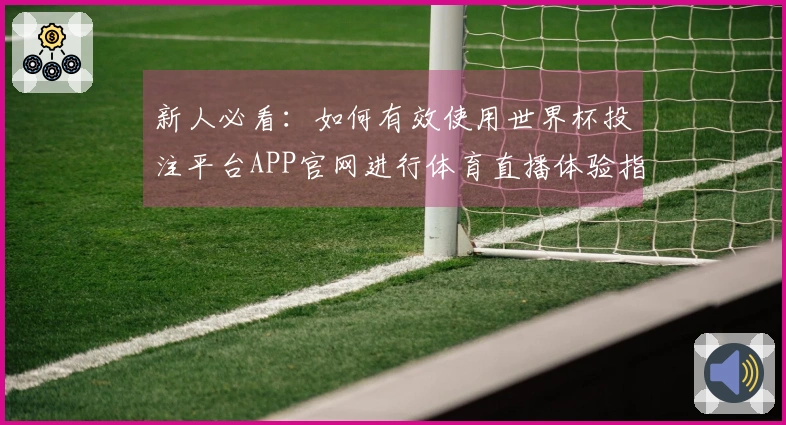 新人必看：如何有效使用世界杯投注平台APP官网进行体育直播体验指南