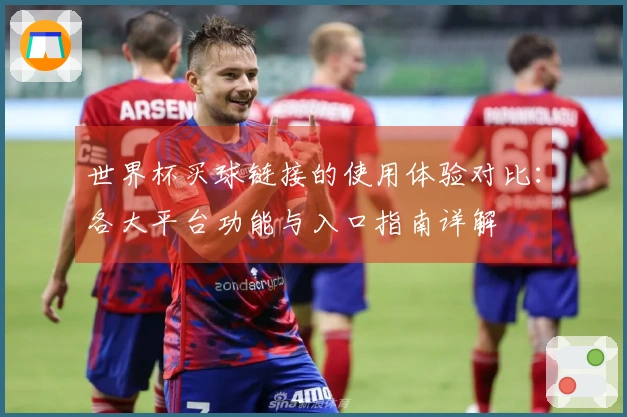 世界杯买球链接的使用体验对比：各大平台功能与入口指南详解