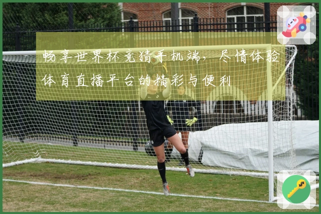 畅享世界杯竞猜手机端，尽情体验体育直播平台的精彩与便利