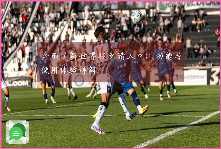 全面了解世界杯竞猜入口：功能与使用体验详解