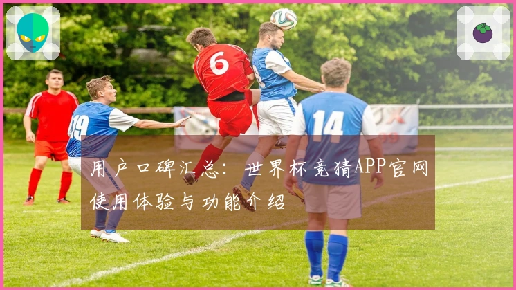 用户口碑汇总：世界杯竞猜APP官网使用体验与功能介绍