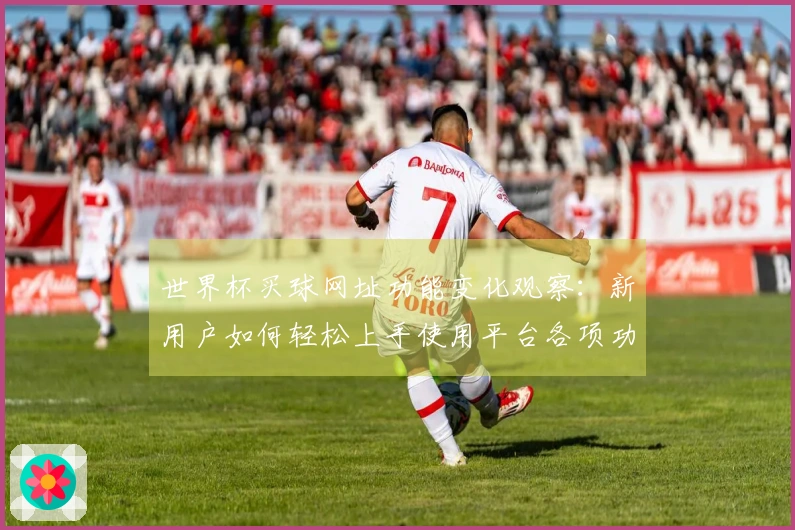 世界杯买球网址功能变化观察：新用户如何轻松上手使用平台各项功能