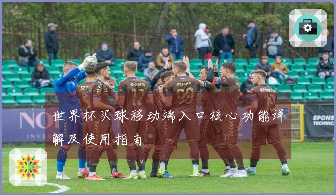 世界杯买球移动端入口核心功能详解及使用指南