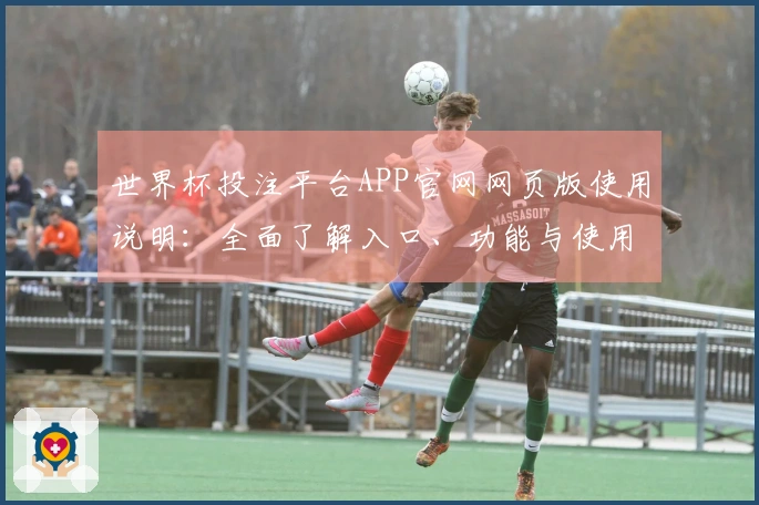 世界杯投注平台APP官网网页版使用说明：全面了解入口、功能与使用体验
