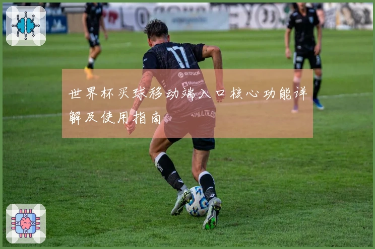 世界杯买球移动端入口核心功能详解及使用指南