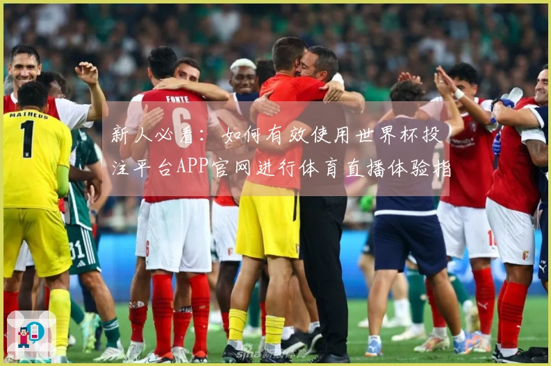 新人必看：如何有效使用世界杯投注平台APP官网进行体育直播体验指南