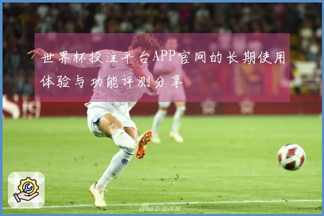 世界杯投注平台APP官网的长期使用体验与功能评测分享