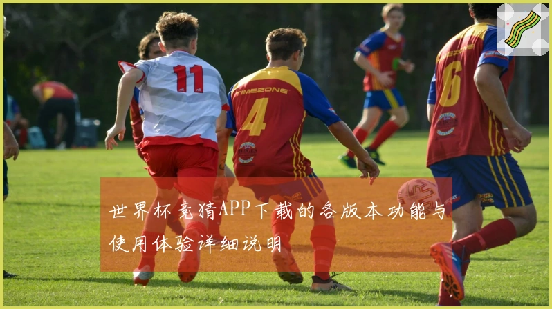 世界杯竞猜APP下载的各版本功能与使用体验详细说明