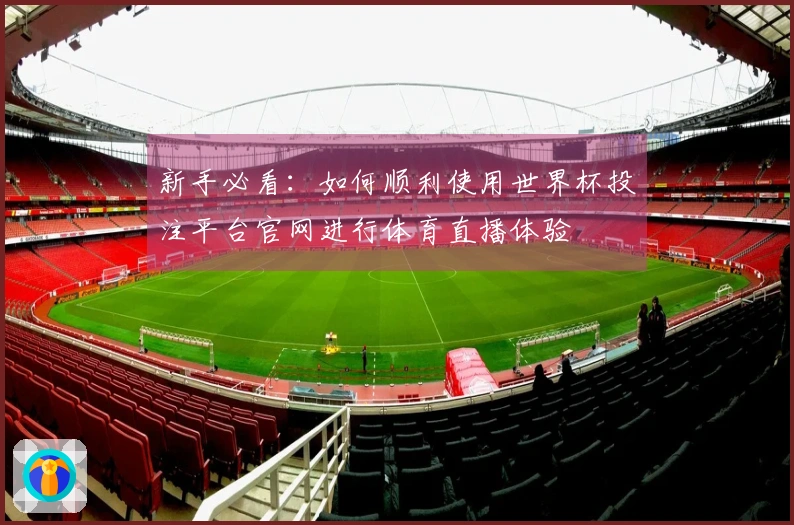新手必看：如何顺利使用世界杯投注平台官网进行体育直播体验