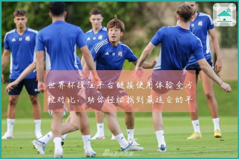 世界杯投注平台链接使用体验全方位对比，助你轻松找到最适合的平台