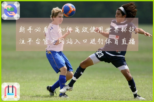 新手必看：如何高效使用世界杯投注平台官方网站入口进行体育直播观看指南