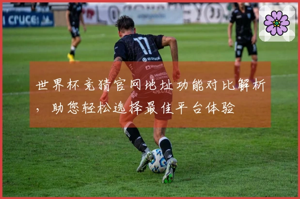 世界杯竞猜官网地址功能对比解析，助您轻松选择最佳平台体验