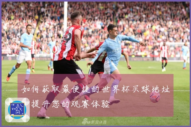如何获取最便捷的世界杯买球地址，提升您的观赛体验