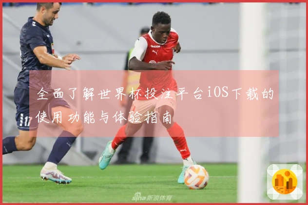 全面了解世界杯投注平台iOS下载的使用功能与体验指南